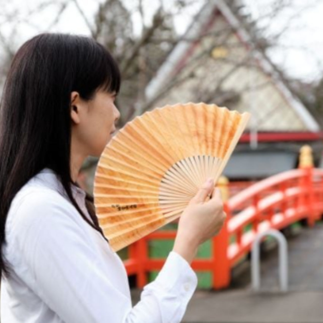 御山杉 常若扇子（とこわかせんす）　扇子立て付き